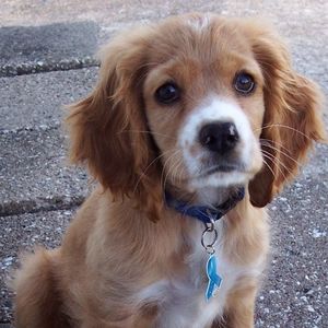 Meet your Posher, Brenda